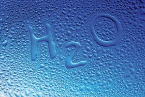Важливість якості води під час напування бройлерів