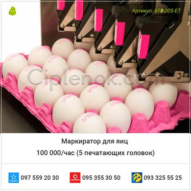 Маркиратор для яиц 100 000/час (5 печатающих головок)