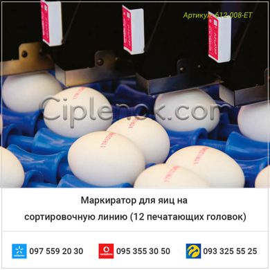 Маркиратор для яиц на сортировочную линию (12 печатающих головок)