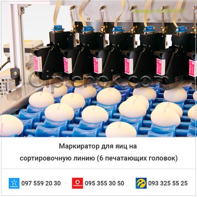 Маркиратор для яиц на сортировочную линию (6 печатающих головок)