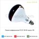 Лампа инфракрасная R125 100 Вт красн. BS