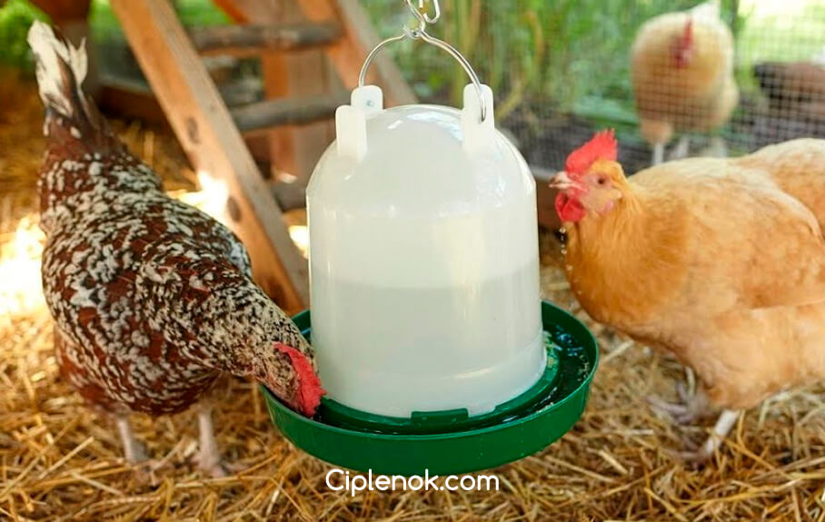Ниппельные поилки для цыплят перепелов кур бройлеров уток индюков — разборные 360º